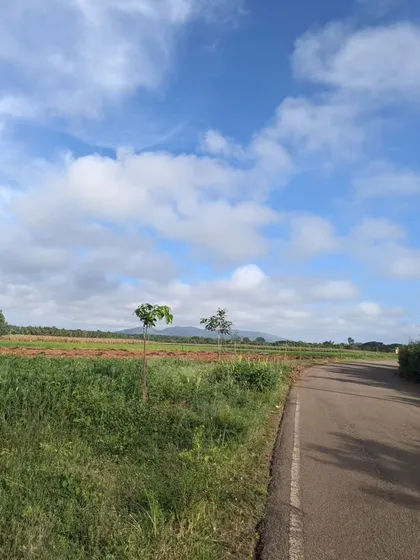 A beautiful, wide-open view of farmland under a big sky. Our rides are a perfect way to escape the city and enjoy some fresh air.