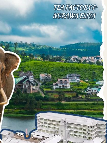 Get lost in the endless green of Sri Lanka's tea country. We'll take you through the tea factories and rolling hills of Nuwara Eliya, where you can see how your morning chai is made.