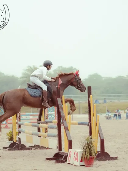 A member of Team Duke competes at the APRC, showcasing the high level of skill our riders achieve.
