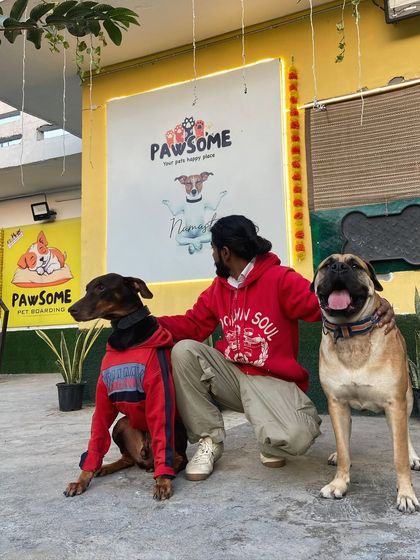 Posing with two of our handsome guests. I make sure to build a personal relationship with every dog.