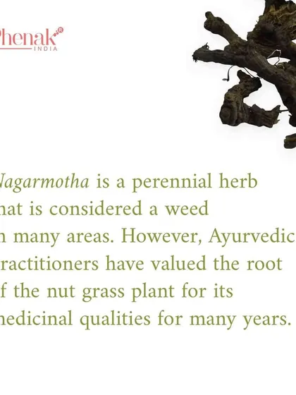 Nagarmotha is a perennial herb that Ayurvedic practitioners have valued for many years. I incorporate its powerful root into my formulas for its incredible skin-lightening and anti-aging properties.