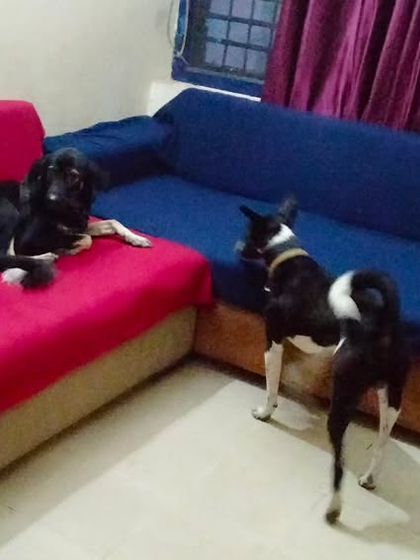 Two friends sharing the living room. They have the freedom to choose their own space.