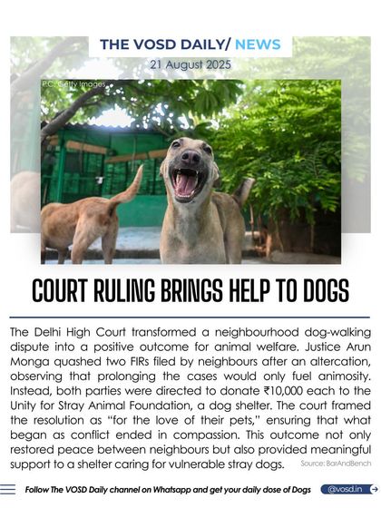 The Delhi High Court turned a neighborhood dispute into a positive outcome for animal welfare. Instead of prolonging the case, the judge directed both parties to donate to a dog shelter, framing the resolution "for the love of their pets."