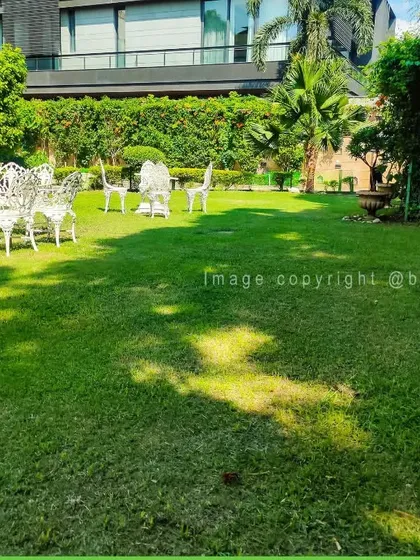 A full view of a large garden project, showcasing the scale of our landscaping capabilities, from lawn care to planting large shrubs and trees.