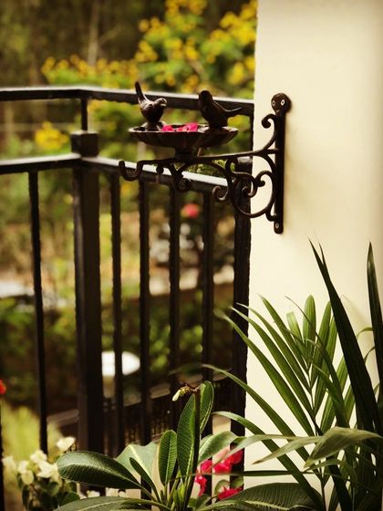 This elegant, wall-mounted wrought iron bird feeder is both a beautiful decorative object and a way to invite nature into your balcony space. It's the small details that make a garden feel alive.