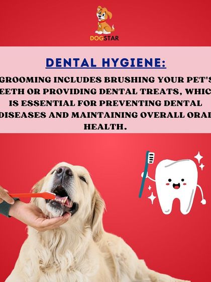Dental hygiene is a key component of our grooming service. Regular brushing or providing dental treats is essential for preventing painful dental diseases and maintaining your pet's overall health.