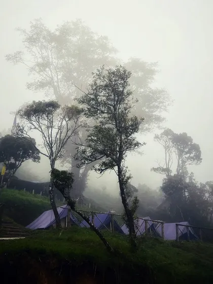 The misty campsite, giving a feel of being inside a cloud.