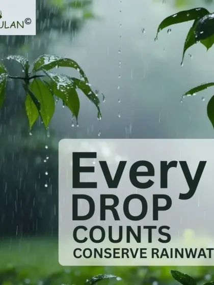 Eco Santulan - Water Management Solutions Rainwater Harvesting: The Neerain Filter Solution photo 15