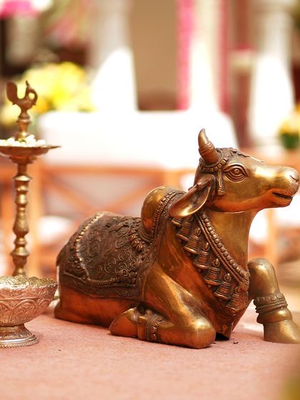 Vibrant Pre-Wedding Festivities photo 30