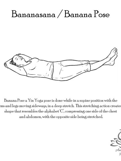 Anagha Yoga - Therapeutic Yoga Yoga Foundations: Asana Library photo 21