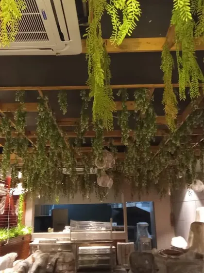 This ceiling features a mix of hanging ferns and other greenery, creating a lush, forest-like canopy over what appears to be a spa or salon space.