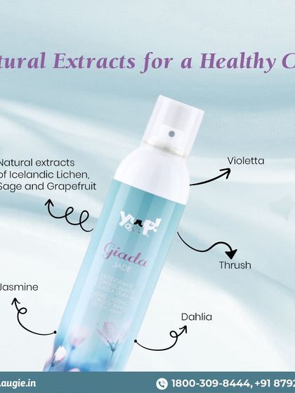 Augie Pets - Pet Supplies Spa Day at Home: Gentle Grooming Essentials photo 67