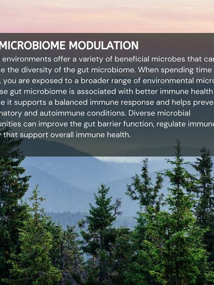 Natural environments expose you to a wide range of beneficial microbes. This exposure can enhance the diversity of your gut microbiome, which is directly linked to better immune health.