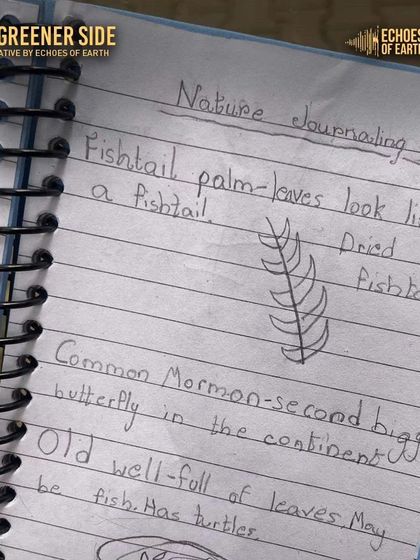A page from a child's nature journal, with sketches and notes about a Fishtail palm and a Common Mormon butterfly. This is where learning becomes personal.