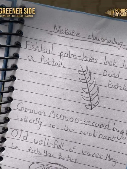 A page from a child's nature journal, with sketches and notes about a Fishtail palm and a Common Mormon butterfly. This is where learning becomes personal.