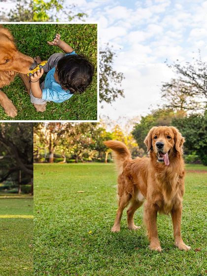 Pawparazzi By Prathima - Maternity & Newborn Photography with Pets Kids & Pups: Partners in Crime photo 30