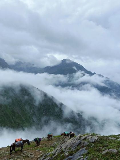 Miles To Trek - Guided Trekking Expeditions Himalayan Expeditions photo 44