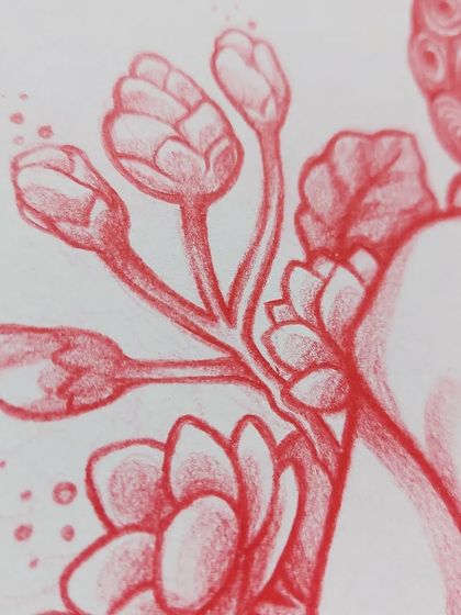 A macro shot of the flower buds, showing the soft texture of the pencil work.
