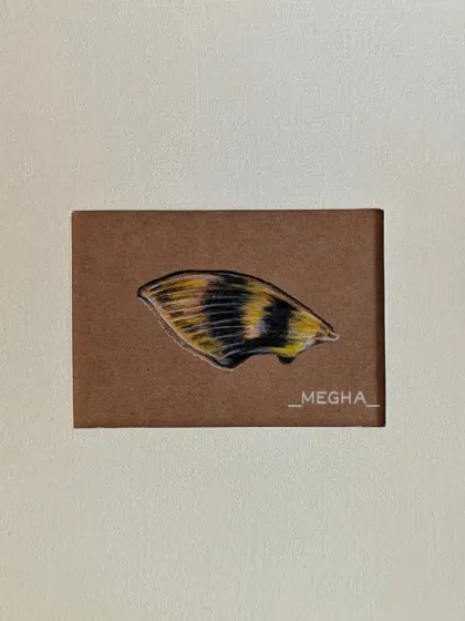 A detailed drawing of a butterfly's wing, focusing on its unique patterns and colors. This piece is a celebration of the small, intricate wonders of the natural world.