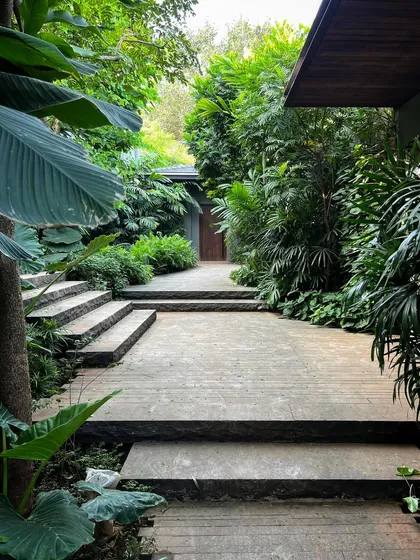 A view of the pathways and stairs at Villa Toshi, now enveloped in lush monsoon foliage. The landscape design creates a series of winding journeys through the property, revealing different views and moments of pause.