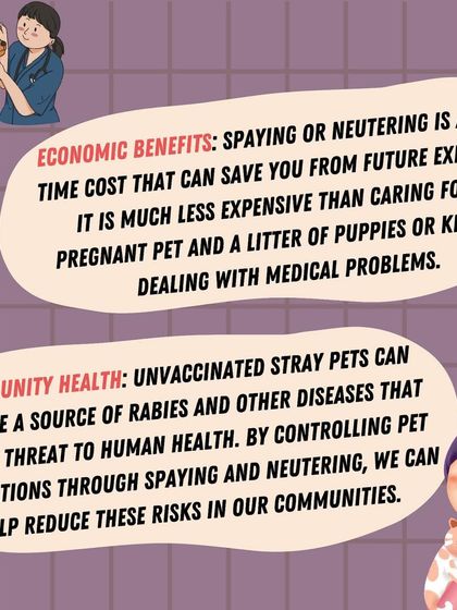 Furever Safe - Pet Training Pet Parent Knowledge Hub photo 8