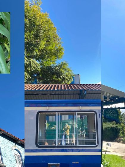 A collage of a winter day, featuring a train window, a blue house, and a large green monstera leaf.