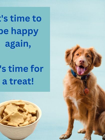 The Barkery by NV - Gourmet & Natural Pet Treats Daily Biscuits & Gourmet Jerky photo 5