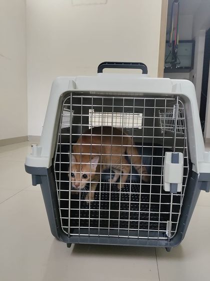 Safe & Sound: Expert Cargo Relocation photo 6