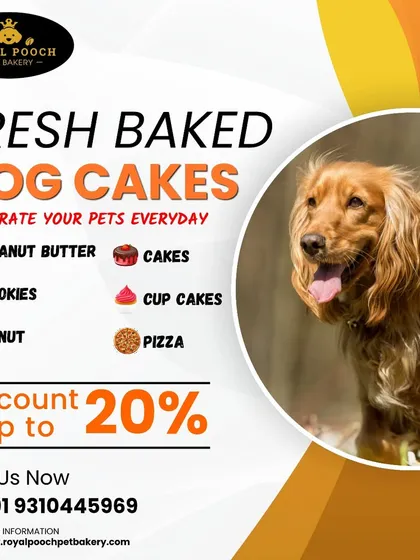 Celebrate your pet every day with my fresh-baked dog cakes and treats. I often run discounts to make it even easier to spoil your furry friend.