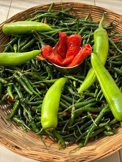 A basket full of fresh green chillies, the base for many of my spicy pickles. In the center, you can see the final product: my fiery red stuffed chilli pickle.
