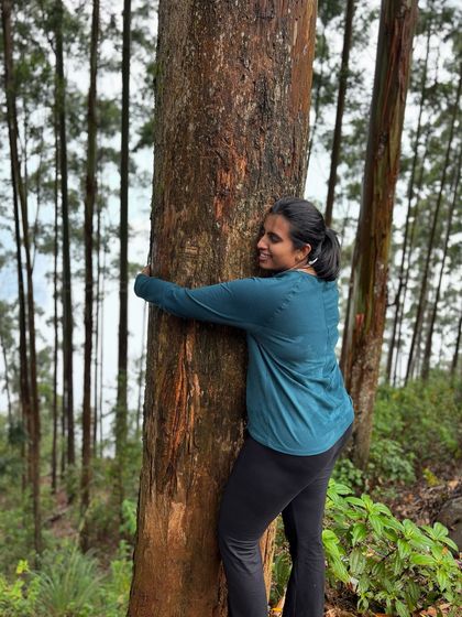 A traveler connecting with nature, hugging one of the giant trees in the forest.