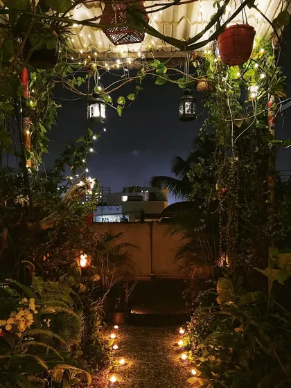 This is the view that welcomes you to my little world. I believe every garden should have an entrance that feels like stepping into a sanctuary, especially at night when the fairy lights and lanterns create a magical glow.
