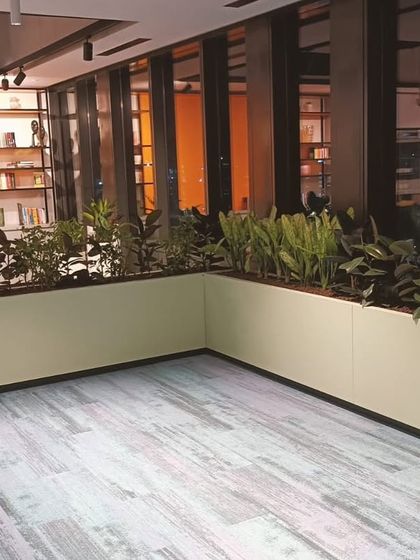 I design and install large, integrated planters that become part of the office architecture. This corner planter installation defines the space and is filled with a variety of indoor plants that create a dense, garden-like feel inside the building.