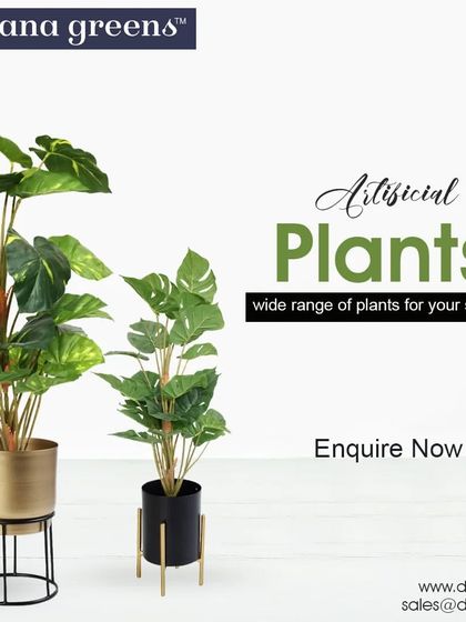 Potted Plants & Floral Arrangements photo 17