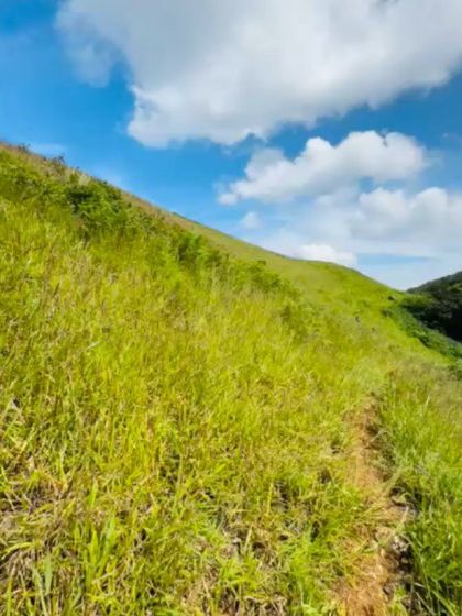 A narrow trekking path through the bright green grass.