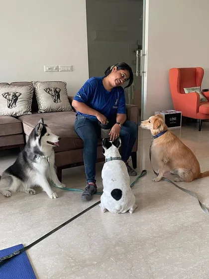 Managing a mixed pack is all in a day's work. Here I am with a Siberian Husky, a French Bulldog, and a Golden Retriever, all learning to be calm and respectful around each other. My home-based program is great for socialization in a controlled setting.