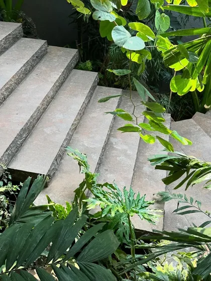 Sunlight filters through the leaves, casting shadows on the stone steps. This interplay of light, shadow, and texture is a key element in creating atmospheric and dynamic spaces.