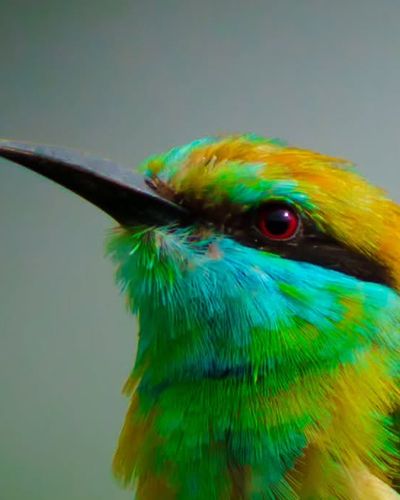 Fine Art Nature Prints