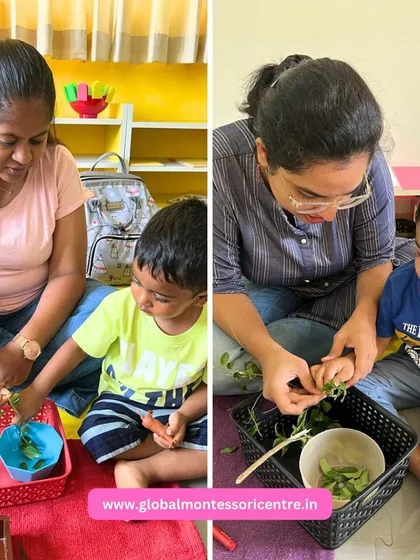 Another view of the curry leaf plucking activity, showing the focus and gentle guidance that defines our Montessori approach.