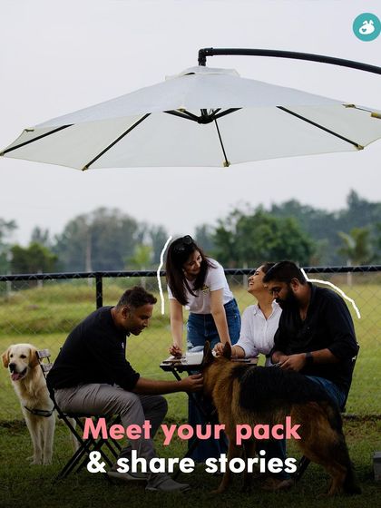 The Pawsome Camp - Dog Park & Pool Your Private Paw-ty: Bookings & Events photo 4