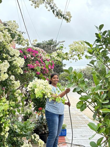 This is my team member Divya, surrounded by a cloud of bougainvillea blooms at the place where I first started my business. Seeing these plants we grew flourish so abundantly is such a meaningful moment.