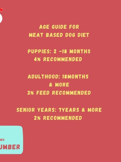 Hungry Eyes - Freshly Cooked Dog Meals Empowering Pet Parents photo 21