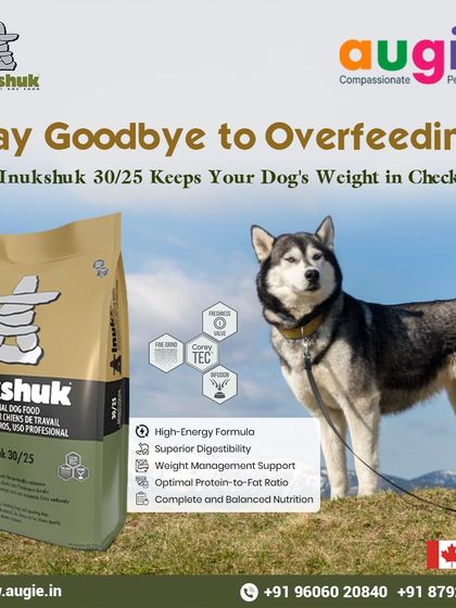 Augie Pets - Pet Supplies Fuel for Happy Hounds: Wholesome Dog Nutrition photo 4