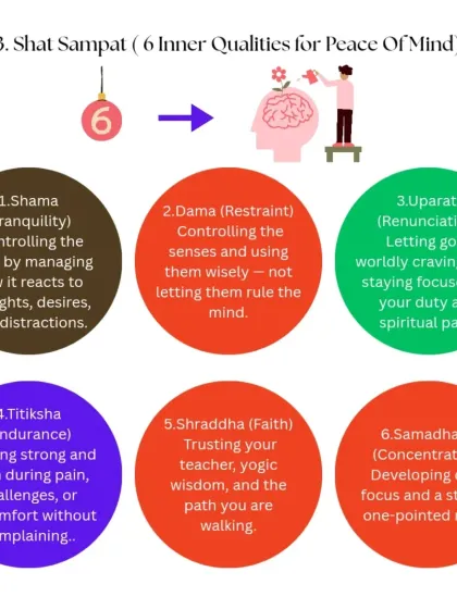 Rohit N - Yoga Teacher Training Yoga Philosophy: Wisdom for Modern Life photo 23