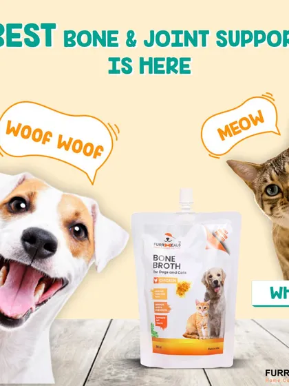 Woof woof and meow. Both dogs and cats agree that my bone broth is the best for bone and joint support. It's a universal language of health.