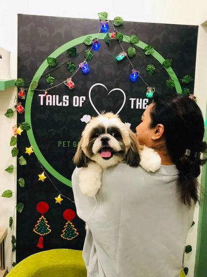 Tails of the City - Pet Spa & Creative Styling Our Happy Pack: Client Gallery photo 24
