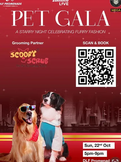 As the official grooming partner for the Pet Gala, we help get the furry fashionistas ready for the ramp. This event is a celebration of the bond between pets and their parents.
