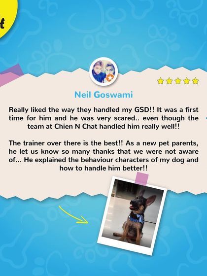 Neil was impressed with how our team handled his scared German Shepherd during his first grooming session. We are trained to help new pet parents understand their dog's behavior.