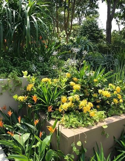 Ratnashri Landscapers - Landscape Design & Build Private Sanctuaries: Residential Gardens photo 6