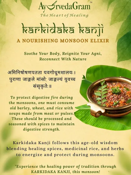 This infographic explains the ancient wisdom behind Karkidaka Kanji. Citing classical texts, it details how this medicinal porridge protects the digestive fire (Agni) during the vulnerable monsoon season.